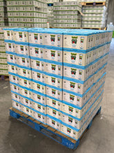 Pallet (Additional Savings) CocoLove Coconut Water with Pulp 200 cases - 11oz Wholesale